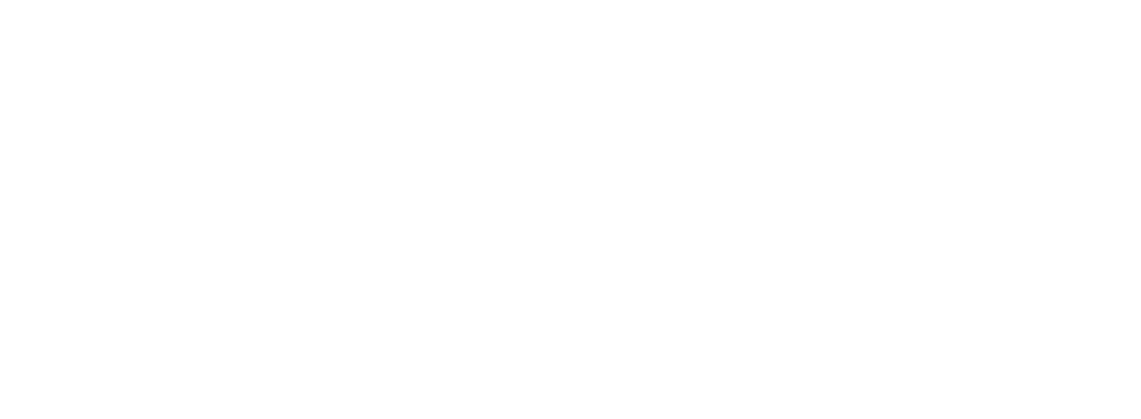 Humano Seguros